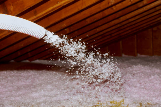 Best Cellulose Insulation in Fairview, UT