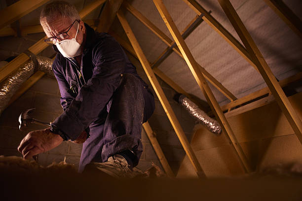 Best Specialized Insulation Services in Fairview, UT